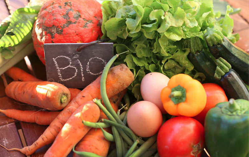 Les meilleurs Labels Bio